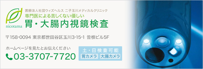 専門医による苦しくない優しい 胃・大腸内視鏡検査