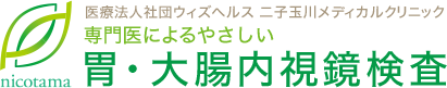 医療法人社団ウィズへルス 二子玉川メディカルクリニック 専門医による苦しくない優しい  胃・大腸内視鏡検査